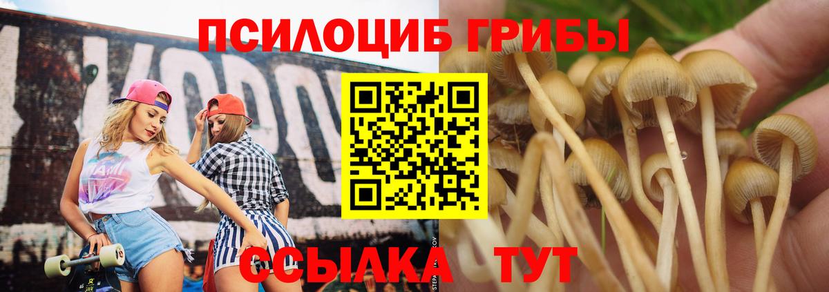 Волгодонск  Псилоцибиновые грибы GOLDEN TEACHER  Вход с VPN 