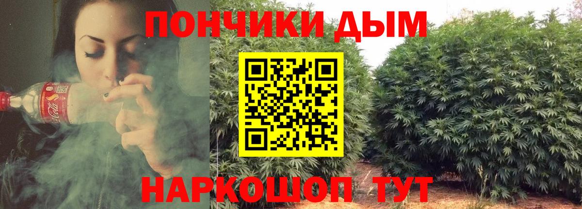 Конопля гибрид  Вход с VPN  Бошки Шишки планчик  Конопля план  Волгодонск 